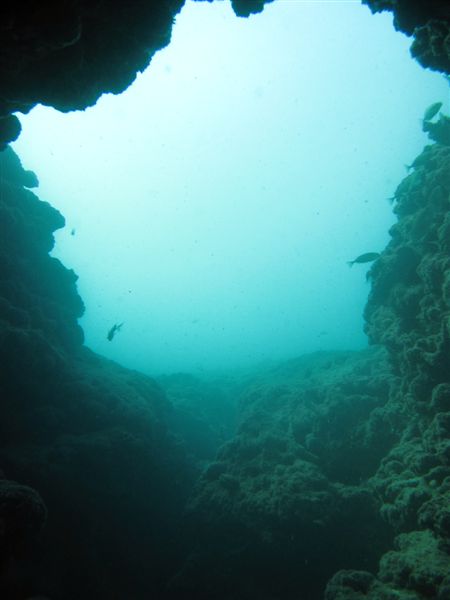 Diving in Israel - Gordon Caves
